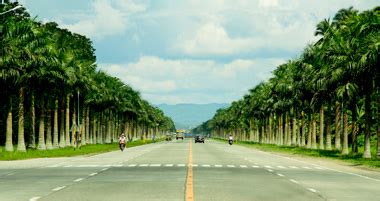 tagum city palm trees|Tagum City: the next tourist capital in the South .